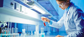 2026国际足联世界杯